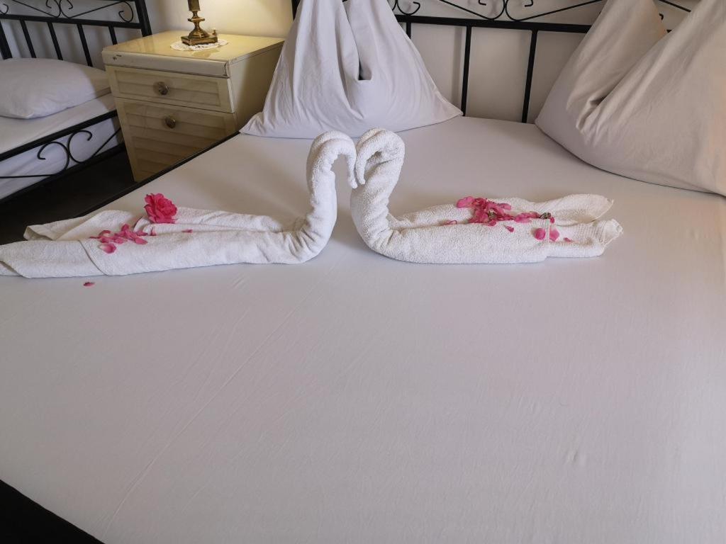 Apartmani Zderic Gradac  Dış mekan fotoğraf