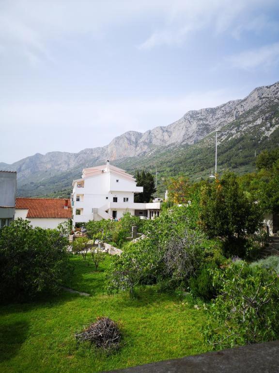 Apartmani Zderic Gradac  Dış mekan fotoğraf